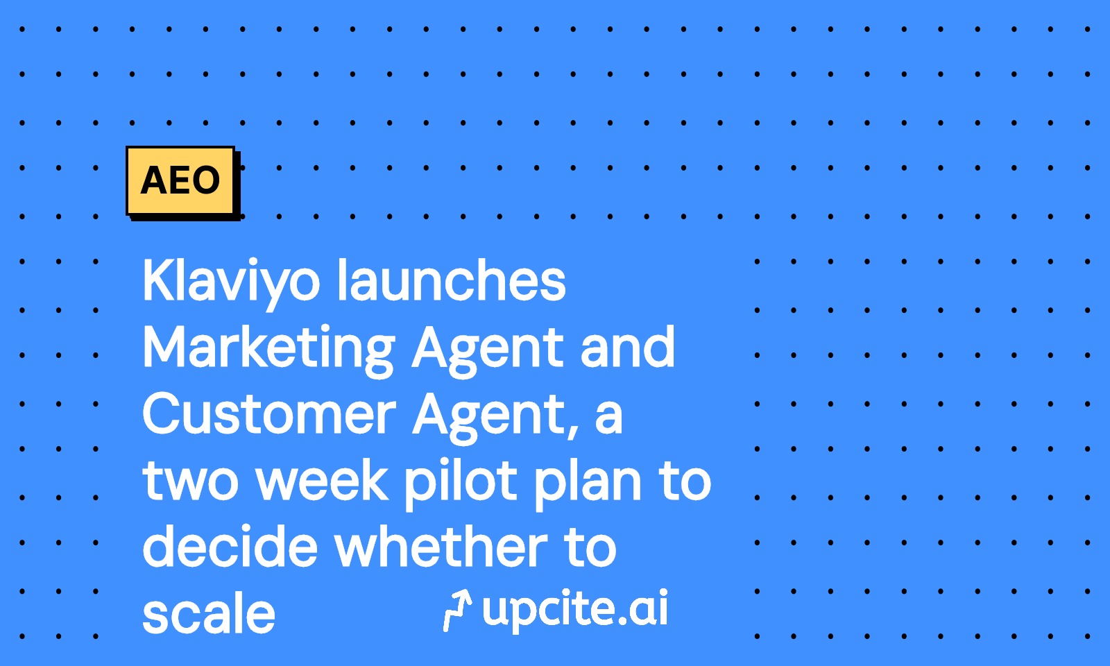 Klaviyo Marketing Agent and Customer Agent: Two-Week Pilot to Prove ROI