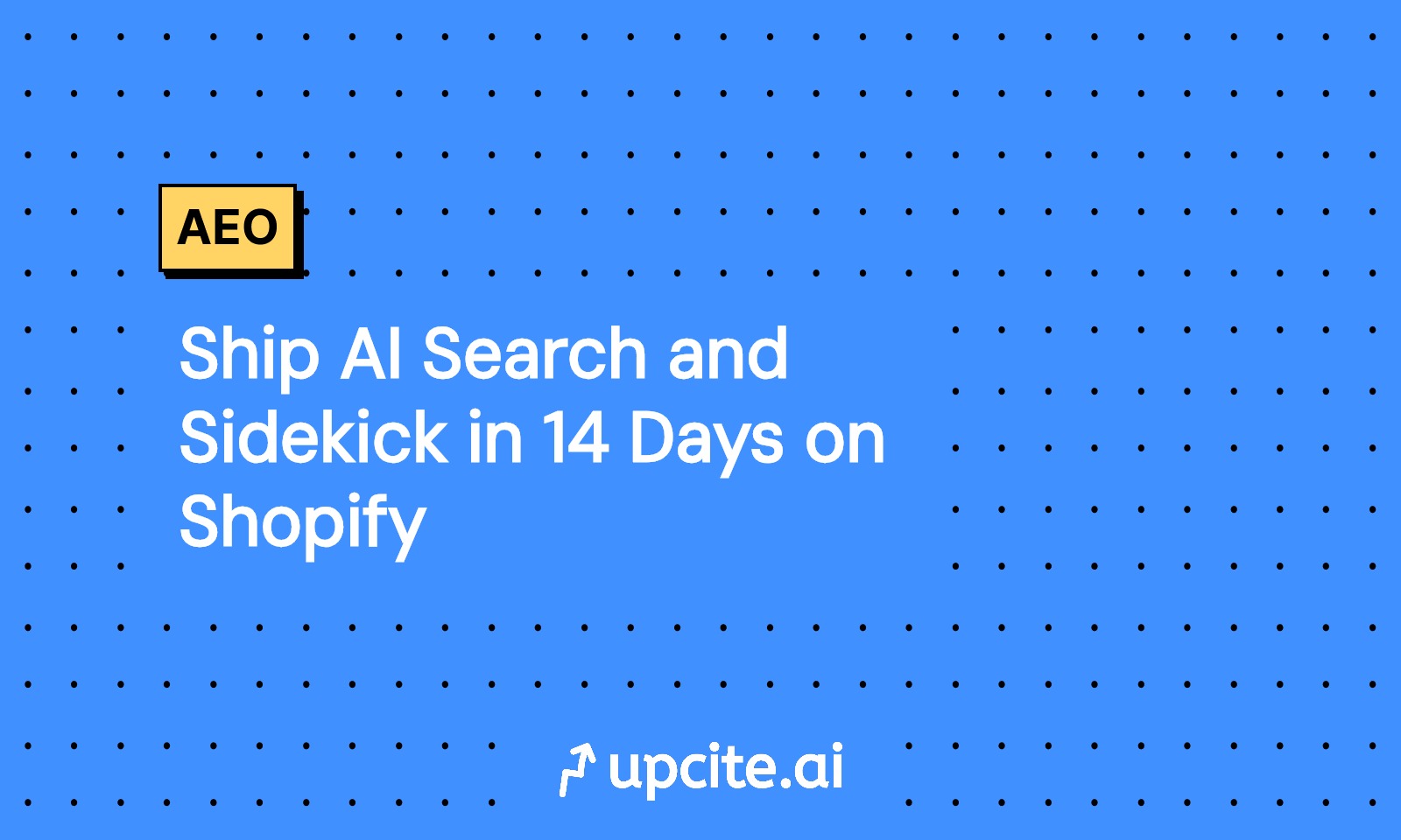 Ship AI Search and Sidekick in 14 Days on Shopify